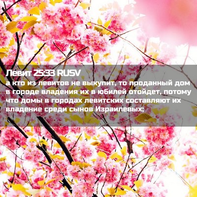 Picture 02 - Левит 25:33 RUSV - а кто из левитов не - Bible Verse Picture