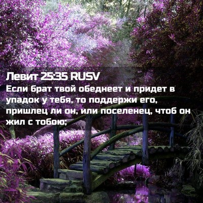 Picture 02 - Левит 25:35 RUSV - Если брат твой обеднеет и - Bible Verse Picture
