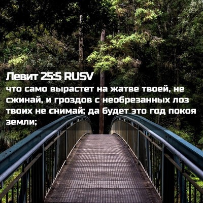 Picture 02 - Левит 25:5 RUSV - что само вырастет на жатве - Bible Verse Picture