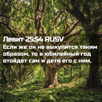Picture 02 - Левит 25:54 RUSV - Если же он не выкупится - Bible Verse Picture