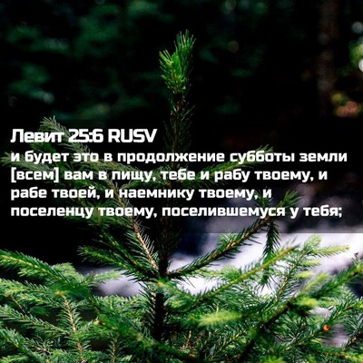 Picture 02 - Левит 25:6 RUSV - и будет это в продолжение - Bible Verse Picture
