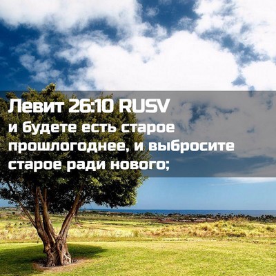 Picture 02 - Левит 26:10 RUSV - и будете есть старое - Bible Verse Picture