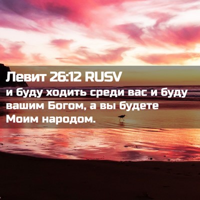 Picture 02 - Левит 26:12 RUSV - и буду ходить среди вас и - Bible Verse Picture