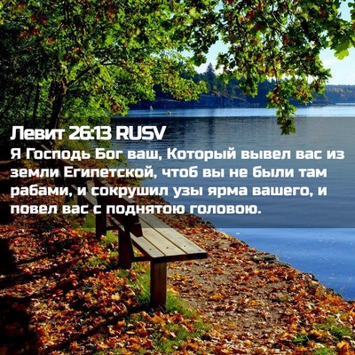 Picture 02 - Левит 26:13 RUSV - Я Господь Бог ваш, Который - Bible Verse Picture