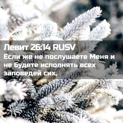 Picture 02 - Левит 26:14 RUSV - Если же не послушаете Меня - Bible Verse Picture