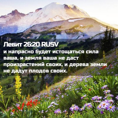 Picture 02 - Левит 26:20 RUSV - и напрасно будет - Bible Verse Picture