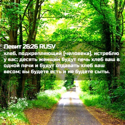 Picture 02 - Левит 26:26 RUSV - хлеб, подкрепляющий - Bible Verse Picture
