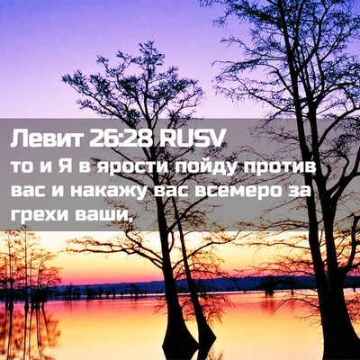 Picture 02 - Левит 26:28 RUSV - то и Я в ярости пойду - Bible Verse Picture