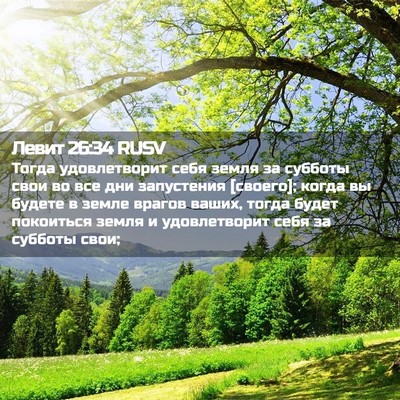 Picture 02 - Левит 26:34 RUSV - Тогда удовлетворит себя - Bible Verse Picture