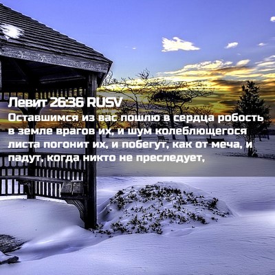 Picture 02 - Левит 26:36 RUSV - Оставшимся из вас пошлю в - Bible Verse Picture