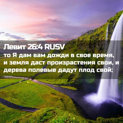 Picture 02 - Левит 26:4 RUSV - то Я дам вам дожди в свое - Bible Verse Picture