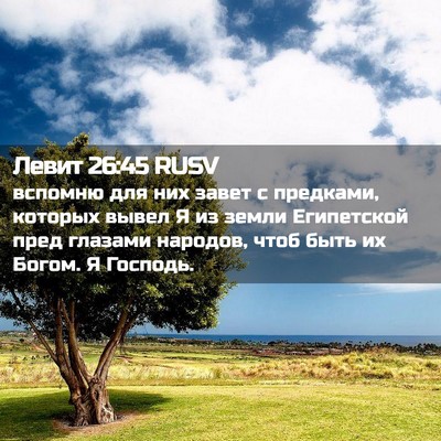Picture 02 - Левит 26:45 RUSV - вспомню для них завет с - Bible Verse Picture