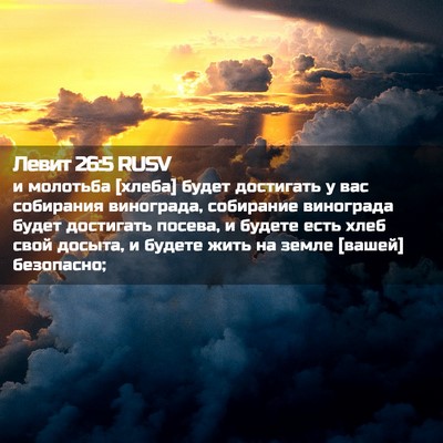 Picture 02 - Левит 26:5 RUSV - и молотьба [хлеба] будет - Bible Verse Picture