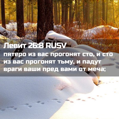 Picture 02 - Левит 26:8 RUSV - пятеро из вас прогонят сто, - Bible Verse Picture