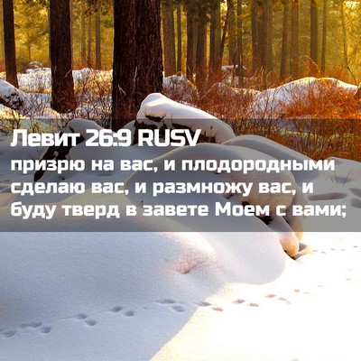 Picture 02 - Левит 26:9 RUSV - призрю на вас, и - Bible Verse Picture