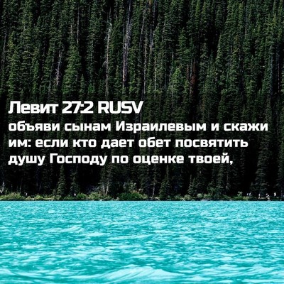 Picture 02 - Левит 27:2 RUSV - объяви сынам Израилевым и - Bible Verse Picture