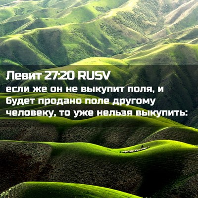 Picture 02 - Левит 27:20 RUSV - если же он не выкупит поля, - Bible Verse Picture