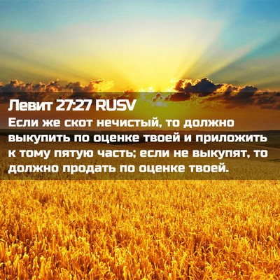 Picture 02 - Левит 27:27 RUSV - Если же скот нечистый, то - Bible Verse Picture