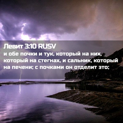 Picture 02 - Левит 3:10 RUSV - и обе почки и тук, который - Bible Verse Picture