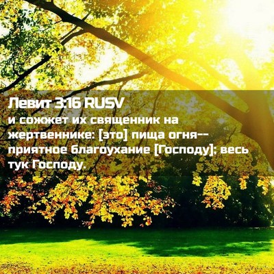 Picture 02 - Левит 3:16 RUSV - и сожжет их священник на - Bible Verse Picture