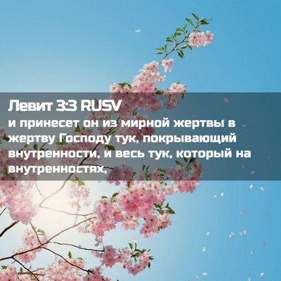 Picture 02 - Левит 3:3 RUSV - и принесет он из мирной - Bible Verse Picture