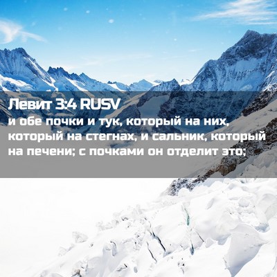 Picture 02 - Левит 3:4 RUSV - и обе почки и тук, который - Bible Verse Picture