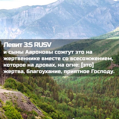 Picture 02 - Левит 3:5 RUSV - и сыны Аароновы сожгут это - Bible Verse Picture