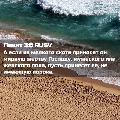Picture 02 - Левит 3:6 RUSV - А если из мелкого скота - Bible Verse Picture