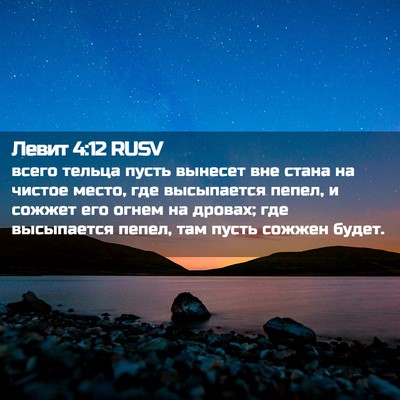 Picture 02 - Левит 4:12 RUSV - всего тельца пусть вынесет - Bible Verse Picture