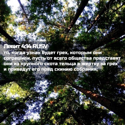 Picture 02 - Левит 4:14 RUSV - то, когда узнан будет грех, - Bible Verse Picture