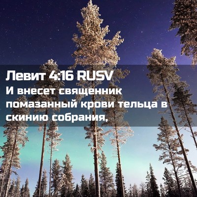 Picture 02 - Левит 4:16 RUSV - И внесет священник - Bible Verse Picture