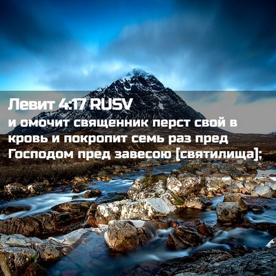 Picture 02 - Левит 4:17 RUSV - и омочит священник перст - Bible Verse Picture