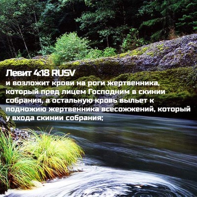 Picture 02 - Левит 4:18 RUSV - и возложит крови на роги - Bible Verse Picture