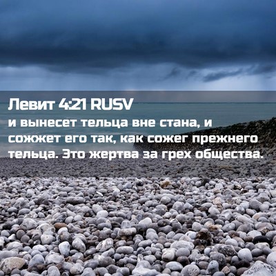 Picture 02 - Левит 4:21 RUSV - и вынесет тельца вне стана, - Bible Verse Picture