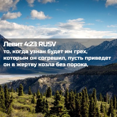 Picture 02 - Левит 4:23 RUSV - то, когда узнан будет им - Bible Verse Picture