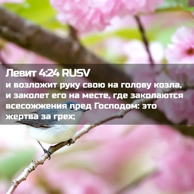 Picture 02 - Левит 4:24 RUSV - и возложит руку свою на - Bible Verse Picture