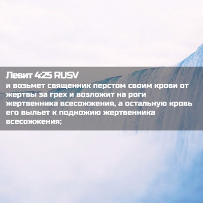 Picture 02 - Левит 4:25 RUSV - и возьмет священник - Bible Verse Picture