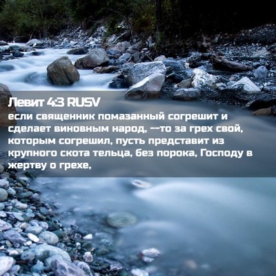 Picture 02 - Левит 4:3 RUSV - если священник помазанный - Bible Verse Picture