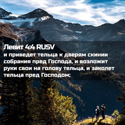 Picture 02 - Левит 4:4 RUSV - и приведет тельца к дверям - Bible Verse Picture