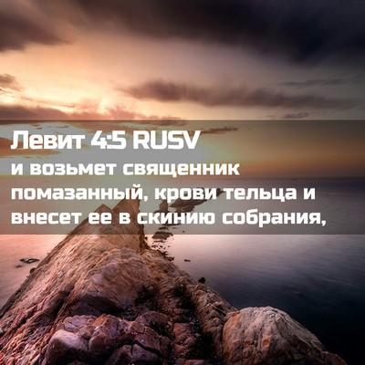Picture 02 - Левит 4:5 RUSV - и возьмет священник - Bible Verse Picture