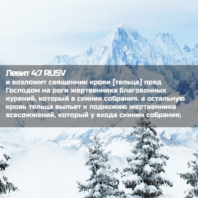 Picture 02 - Левит 4:7 RUSV - и возложит священник крови - Bible Verse Picture