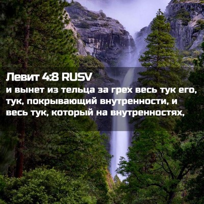 Picture 02 - Левит 4:8 RUSV - и вынет из тельца за грех - Bible Verse Picture
