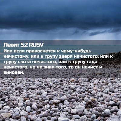 Picture 02 - Левит 5:2 RUSV - Или если прикоснется к - Bible Verse Picture