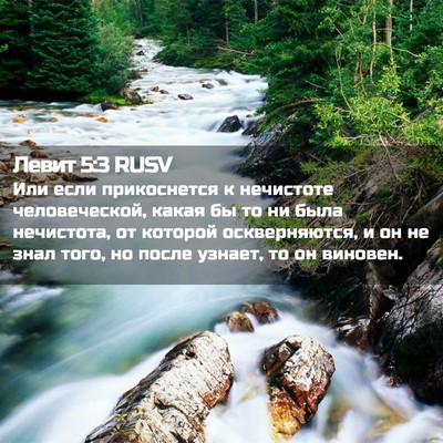 Picture 02 - Левит 5:3 RUSV - Или если прикоснется к - Bible Verse Picture