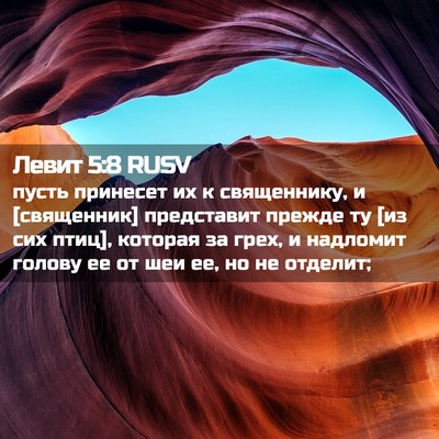 Picture 02 - Левит 5:8 RUSV - пусть принесет их к - Bible Verse Picture