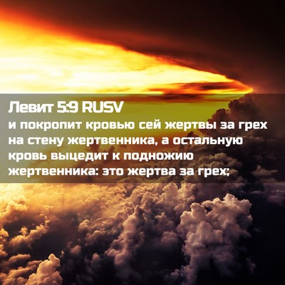 Picture 02 - Левит 5:9 RUSV - и покропит кровью сей - Bible Verse Picture