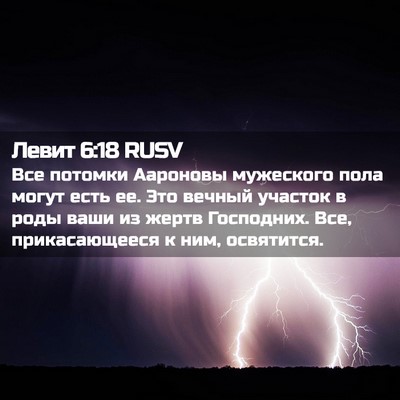 Picture 02 - Левит 6:18 RUSV - Все потомки Аароновы - Bible Verse Picture