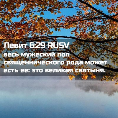 Picture 02 - Левит 6:29 RUSV - весь мужеский пол - Bible Verse Picture