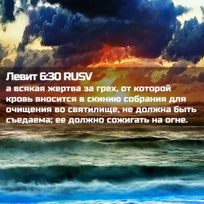 Picture 02 - Левит 6:30 RUSV - а всякая жертва за грех, от - Bible Verse Picture