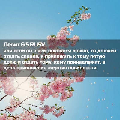 Picture 02 - Левит 6:5 RUSV - или если он в чем поклялся - Bible Verse Picture